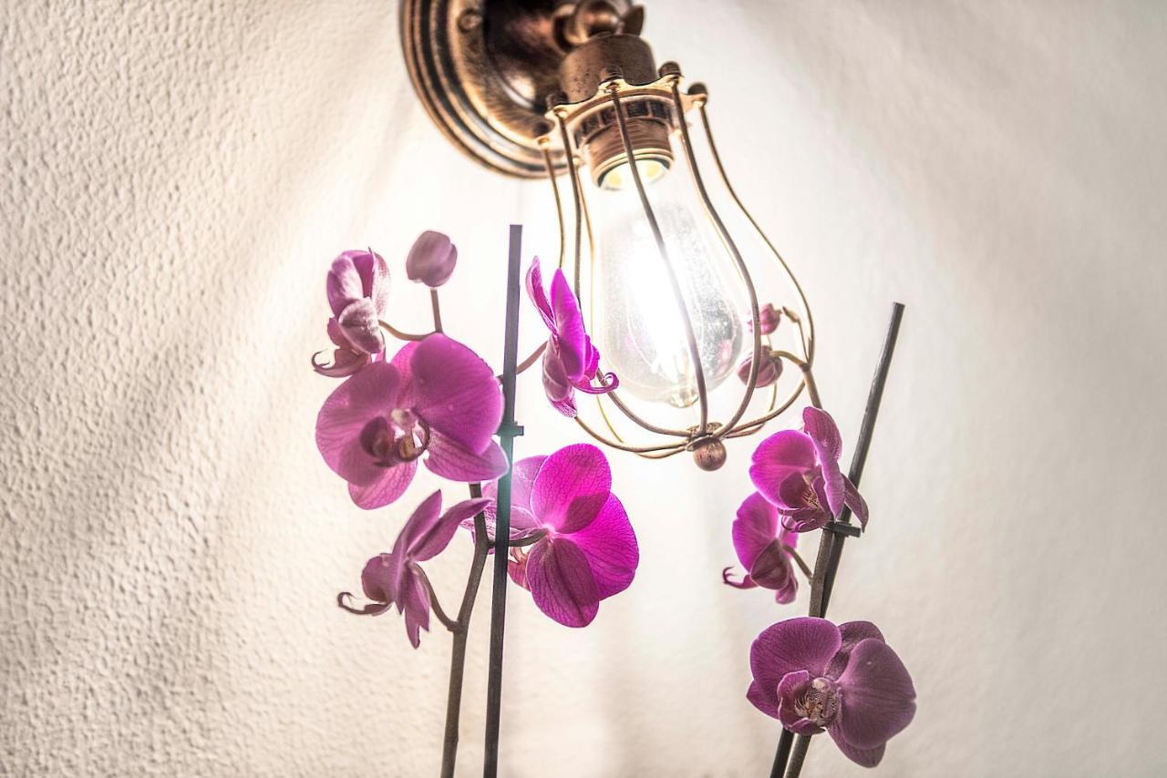 Stranamore Apartments Trastevere โรม ภายนอก รูปภาพ